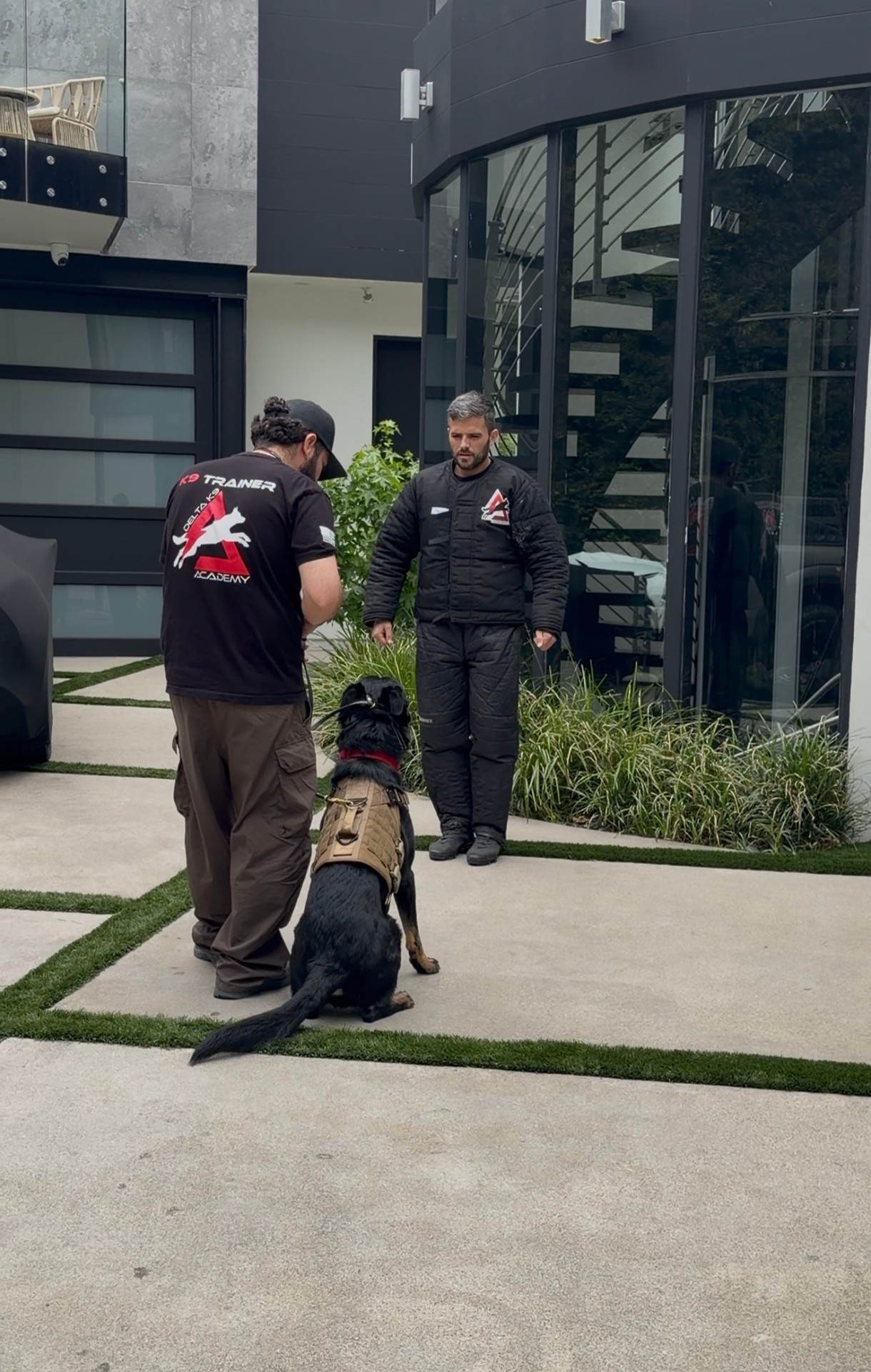 Delta K9 trainer running maintenance care with a client dog